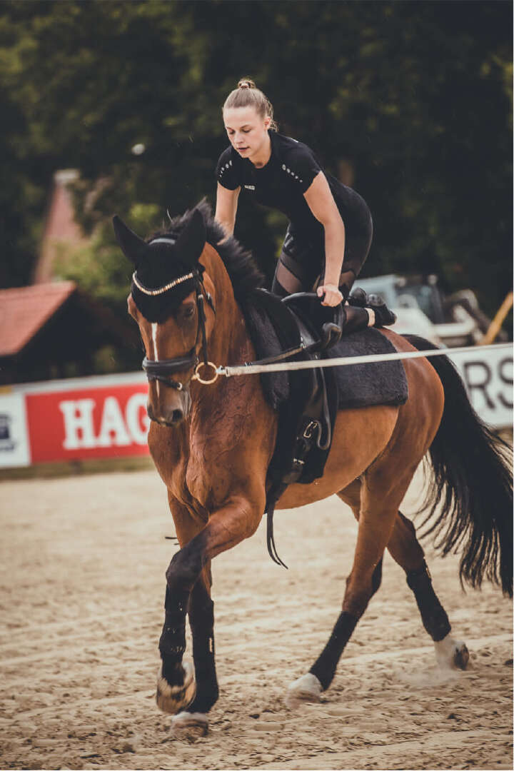 Voltis Handorf Sudmuehle derby community teaserbild
